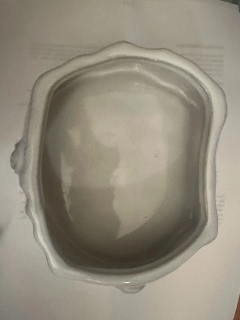 Ceramic Dog Bowl in Cream white- The Life of Ryley